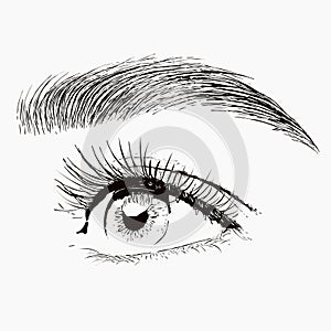 Illustration. The make-up artist does Long-lasting styling of the eyebrows of the eyebrows and will color the eyebrows. Eyebrow la photo